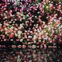 ARTE MUSEUM Busan: An Immersive Digital Art Wonderland