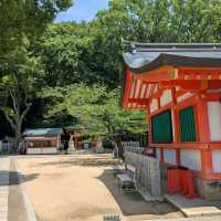 神戶 | 生田神社，祈求戀愛結緣的神社