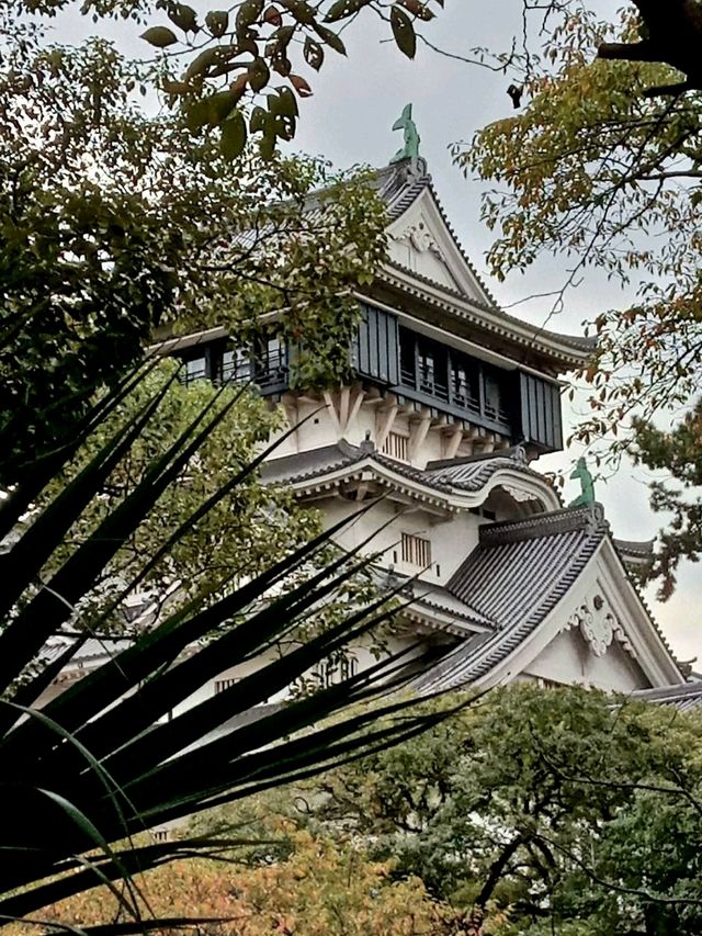 ชม Kokura Castle🏯