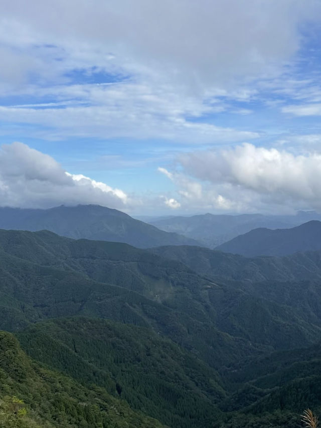 【四国カルスト】天空の草原でのんびり絶景ドライブ🚗💨🌄