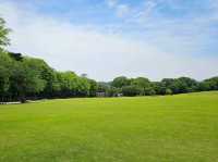本地人最愛的綠意漫步地——金澤城公園 🌳