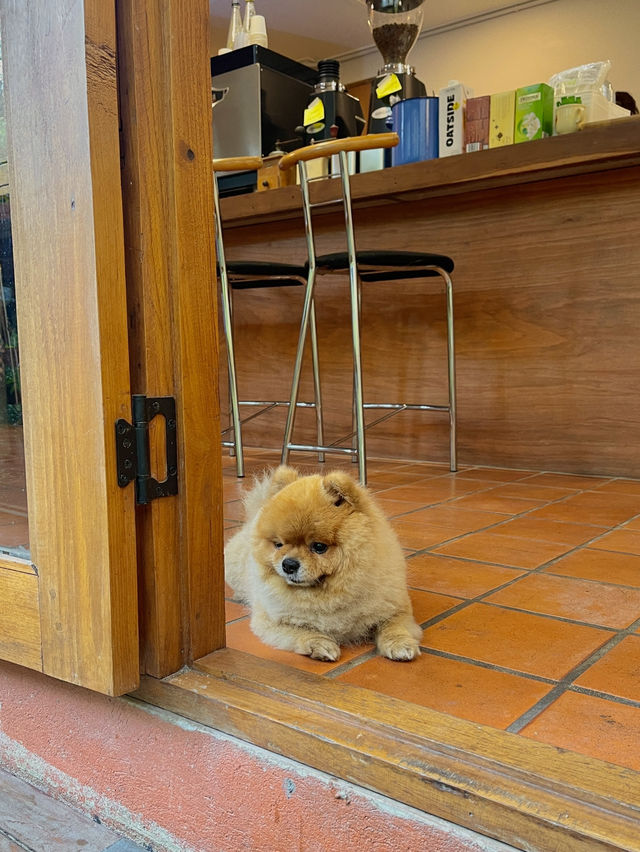 Proud คาเฟ่ฟีลดี แม่กำปอง 🏡🥤