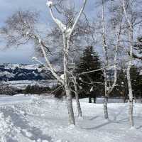 【新潟/魚沼🇯🇵】冬が待ち遠しい☃❄舞子スノーリゾート