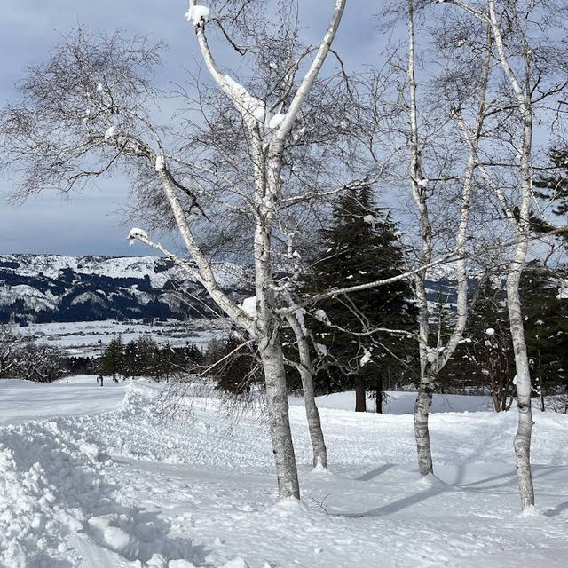【新潟/魚沼🇯🇵】冬が待ち遠しい☃❄舞子スノーリゾート