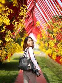 Flower-Powered Wander: A Walk Through Zhongshe Flower Market 🌸