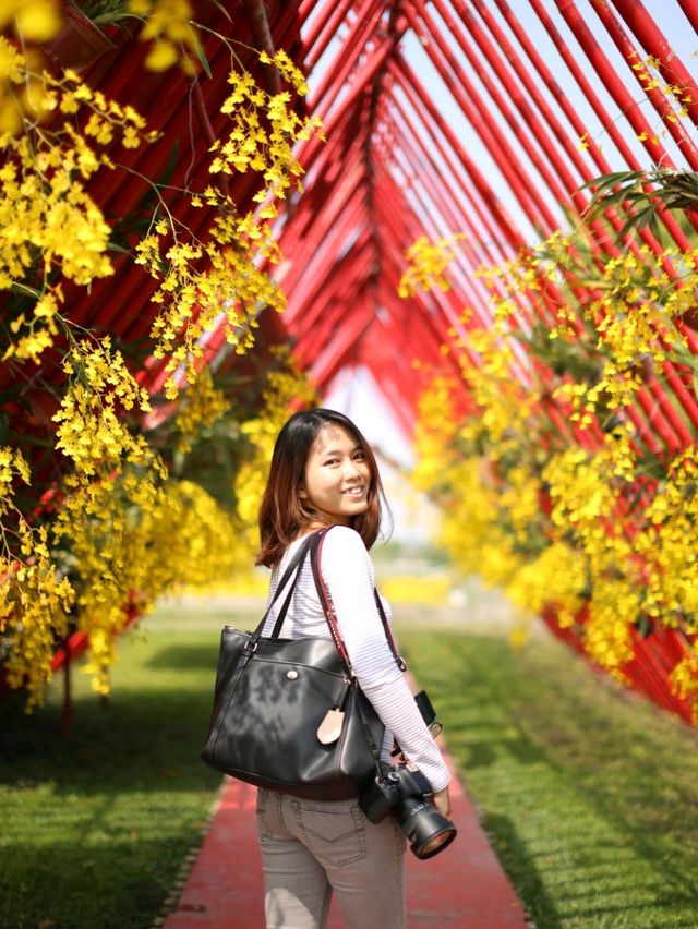 Flower-Powered Wander: A Walk Through Zhongshe Flower Market 🌸
