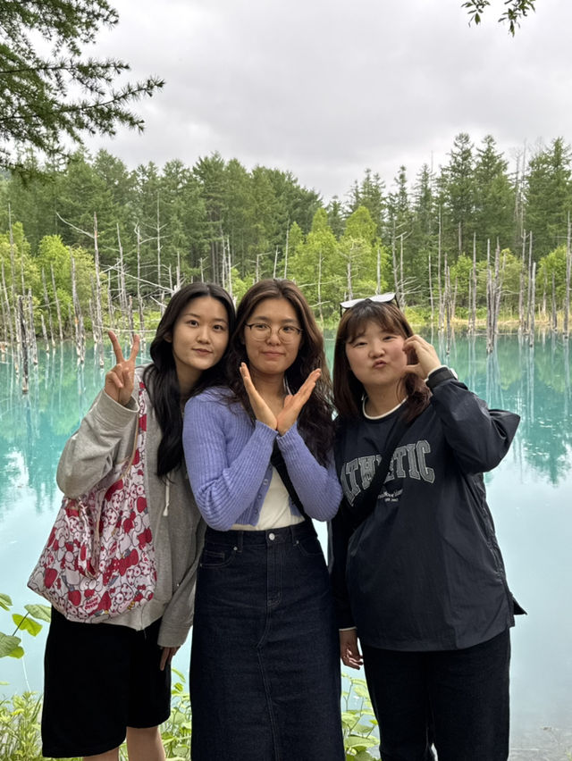 여름 홋카이도 추천 코스 🇯🇵