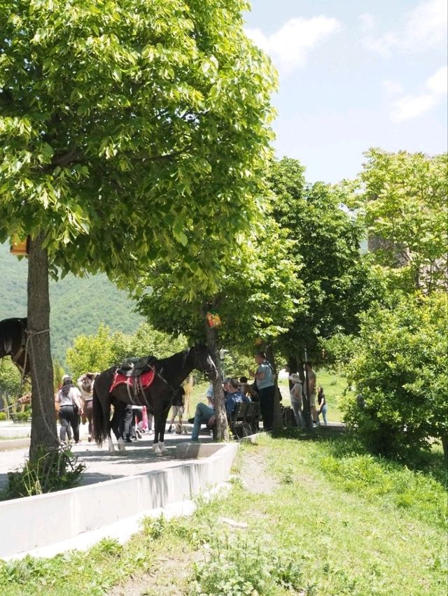 ジョージアの寄り道絶景🇬🇪アナヌリ教会⛪️