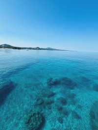 【海の中をのぞいてみよう】沖縄の海を間近に感じる「ブセナ海中公園」