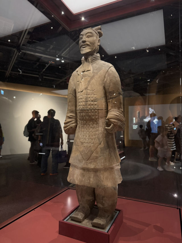 #值得睇嘅兵馬俑展覽  快去7月7號完啦！免費入場🆓