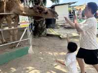 A Great Day Out with Kids at Desaru Mini Zoo!