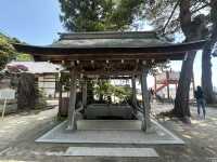 日本關西自駕遊 | 滋賀縣 | 白鬚神社