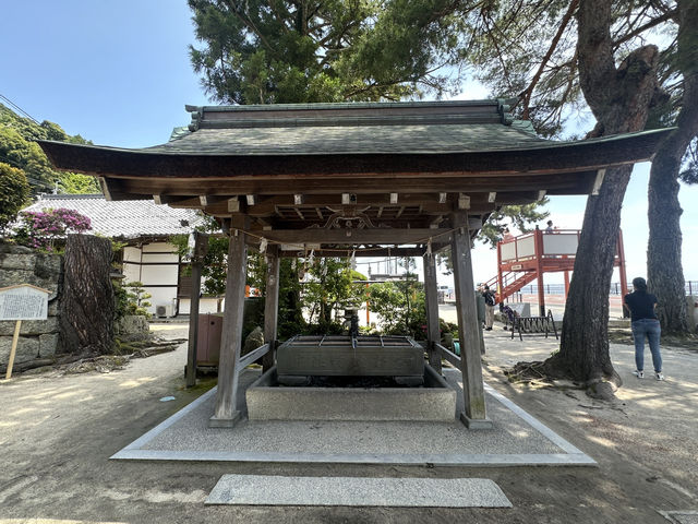 日本關西自駕遊 | 滋賀縣 | 白鬚神社