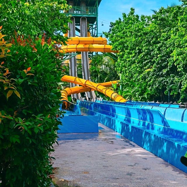 ชวนเล่นน้ำที่สวนน้ำ Aquatopia park ที่เวียดนาม