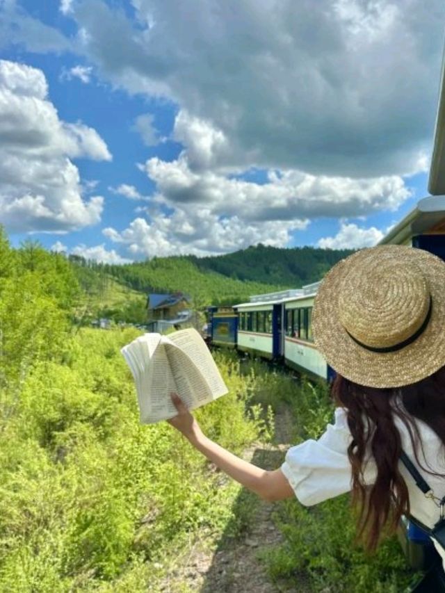 內蒙古5 天遊攻略🌳｜莫爾道嘎森林小火車📷