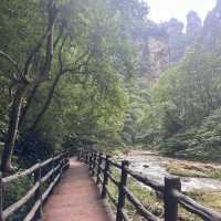 Rainy Days in Zhangjiajie