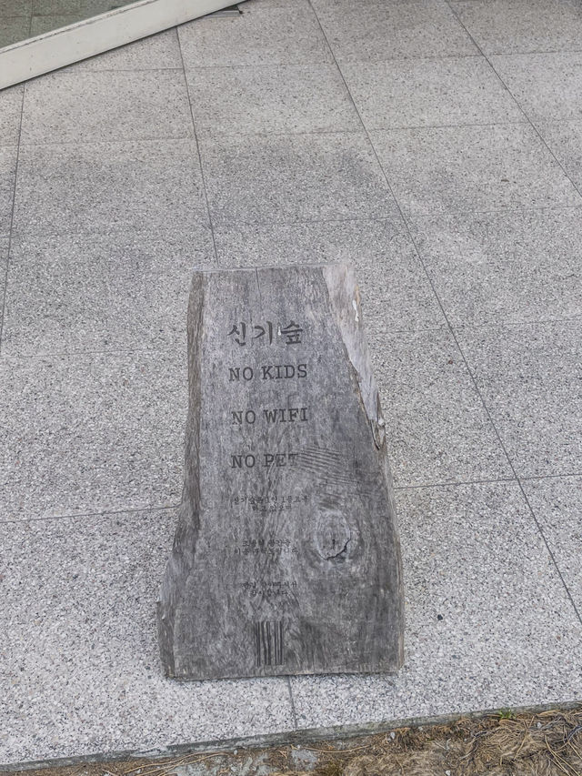 부산 영도 숲뷰 고양이가 있는 힐링 카페 