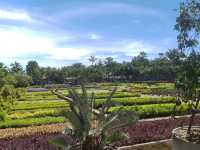 สวนนงนุช สวนสวย1ใน10ของโลก