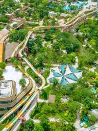 💦🌴 Forest Sea Water Park Zengcheng 