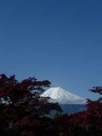 🌸 富士山下的靜謐時光｜新倉富士淺間神社・忠靈塔 🗻⛩️