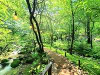 A Calm Escape at Jade Garden, Nami Korea