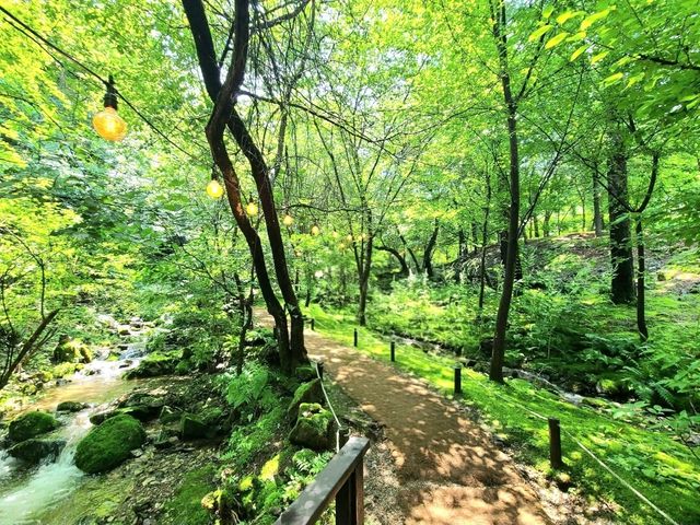 A Calm Escape at Jade Garden, Nami Korea