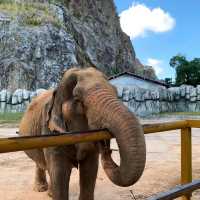 ～南平九峰動物園是～可愛動物園～