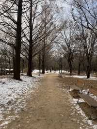 Seoul Forest เดินเล่นในหน้าหนาว🇰🇷