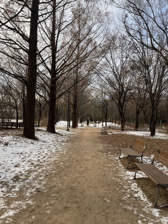 Seoul Forest เดินเล่นในหน้าหนาว🇰🇷