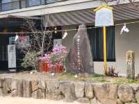 神戶鬧區內的櫻花秘境/生田神社