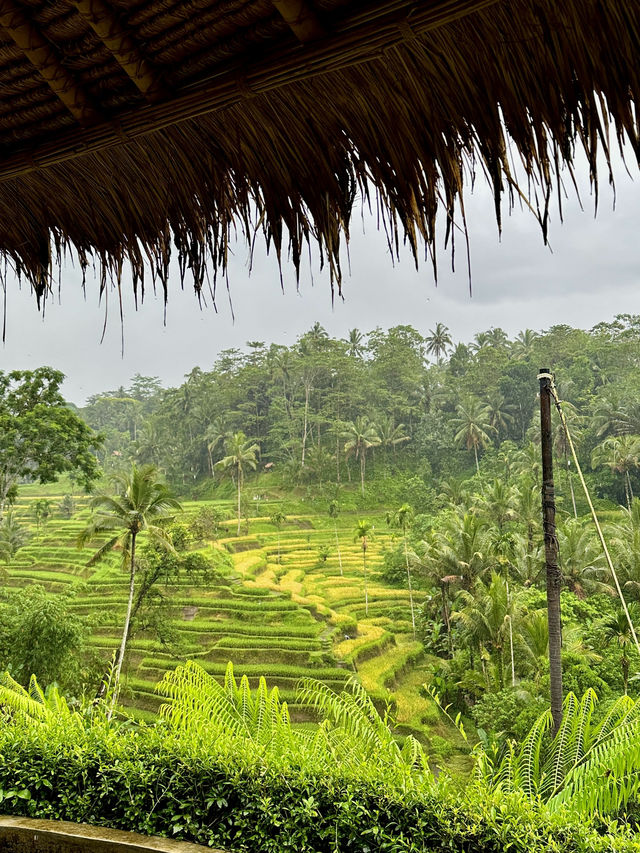Tis Cafe: Must-Visit in Tegallalang