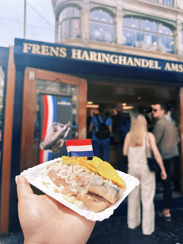 荷蘭🇳🇱景點推薦&必吃美食✨