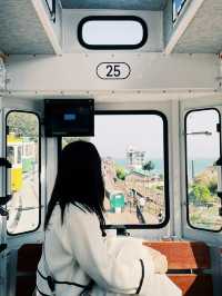 부산 바다 따라 달리는 열차🚃 해운대 해변열차 탑승기