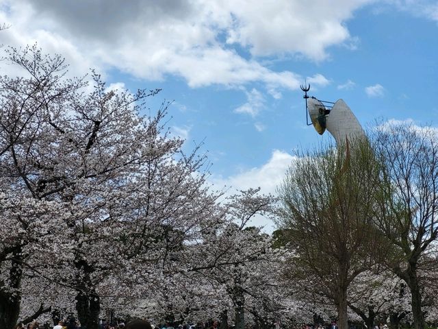 大阪市郊的親子友善景點/萬博紀念公園