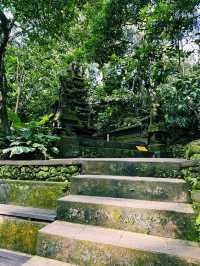 Guardians of the Forest: Ubud Monkey Forest’s Sacred Heart