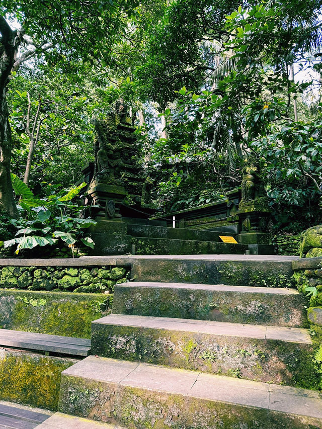 Guardians of the Forest: Ubud Monkey Forest’s Sacred Heart