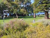 Postcards from Perth