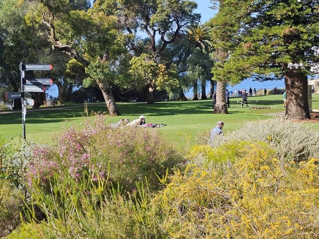 Postcards from Perth