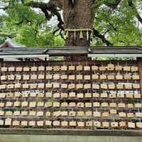 Meiji Jingu: A Tranquil Path to Tokyo’s Sacred Heart