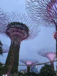 🌺 Gardens by the Bay – สวนล้ำโลกกลางสิงคโปร์