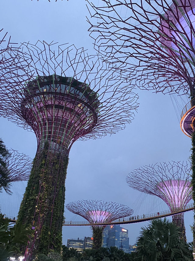  🌺 Gardens by the Bay – สวนล้ำโลกกลางสิงคโปร์
