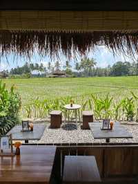 Sip Among the Paddy Fields, Huma’s Signature Flow