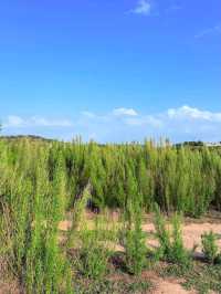 Muleshoe Bend Recreation Area