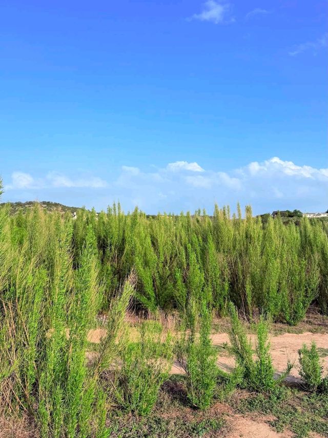 Muleshoe Bend Recreation Area