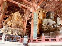 Summer Visit to Tōdai-ji Temple (東大寺) – A Majestic Encounter in Nara** 🏯🦌