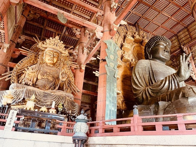 Summer Visit to Tōdai-ji Temple (東大寺) – A Majestic Encounter in Nara** 🏯🦌