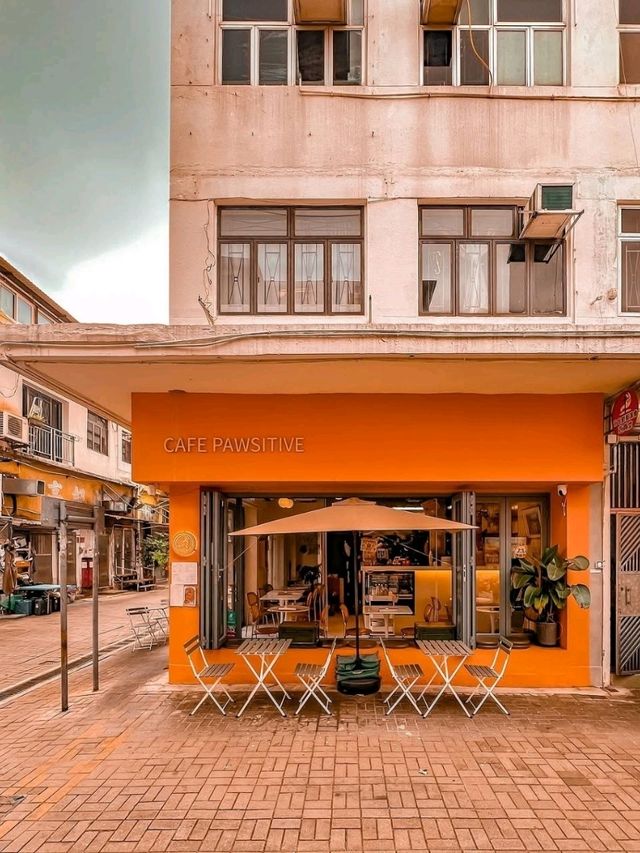 Cafe Pawsitive Hong Kong