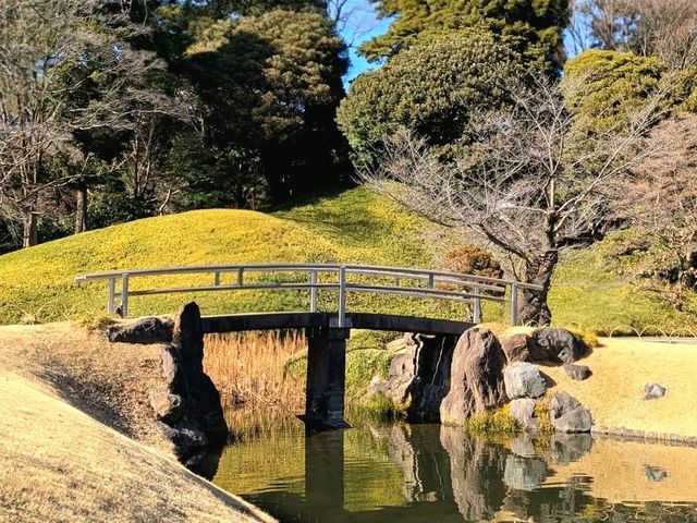 Koishikawa Korakuen Garden Tokyo