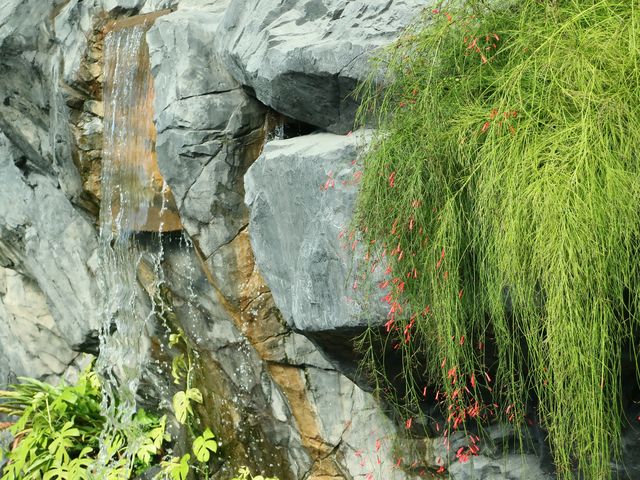 極品景點：四季皆美的東京城市綠洲