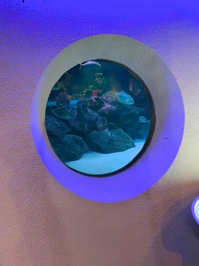 A Dive into the Deep at Aquaria KLCC